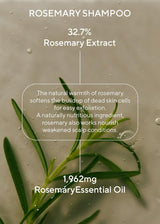 Aromatica Rosemary Scalp Scaling Shampoo and Conditioner Set 13.53 Fl.Oz Each – Vegan Hair Care Gift Set with Rosemary Oil. Sulfate Free Shampoo Conditioner for Hair Growth