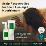 Aromatica Rosemary Root Enhancer and Scalp Scrub Set - Rosemary Water Spray and Scalp Exfoliator for Dry Scalp Treatment, Refresh Your Hair with Rosemary Oil Scalp Care for Mothers Gift Set