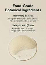 Aromatica Rosemary Scalp Scaling Shampoo - Thinning Hair Loss Natural Rosemary Essential Oil for Women - Vegan Hair Growth Biotin Shampoo - Free from Sulfate, Silicone, and Paraben (13.53 Oz)
