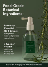 Aromatica Root Enhancer (2 Pack) Rosemary Oil for Hair Growth – Flaky & Itchy & Dry Scalp Treatment – Hair Oil for Scalp Exfoliator & Detox – Free from Sulfate, Silicone, and Paraben (3.38Oz)